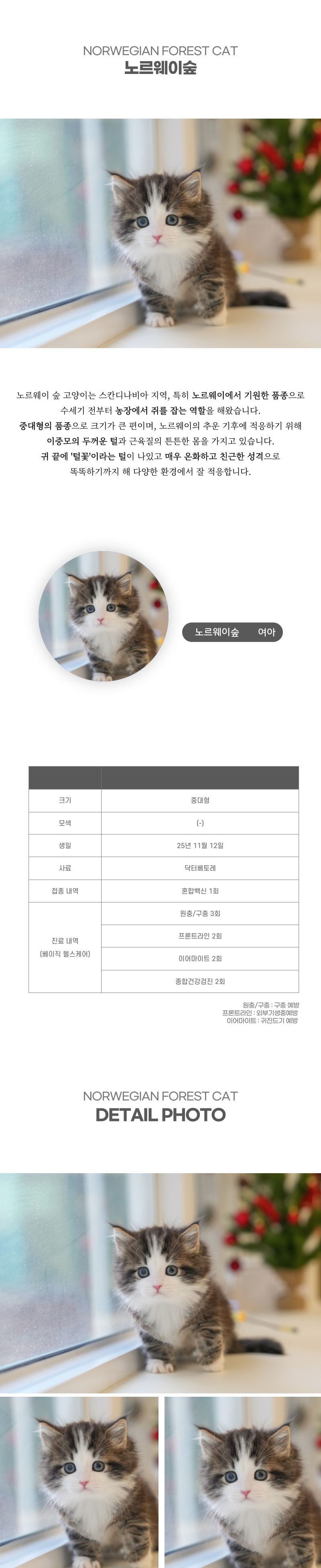 노르웨이숲_상세이미지_2